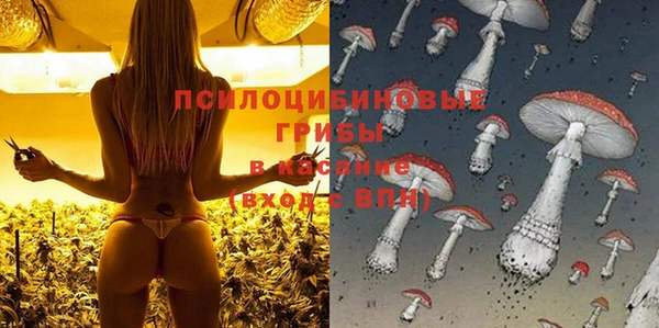 ПСИЛОЦИБИНОВЫЕ ГРИБЫ Магадан