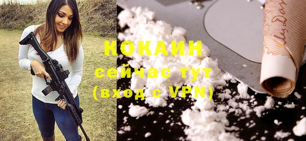 spice Видное