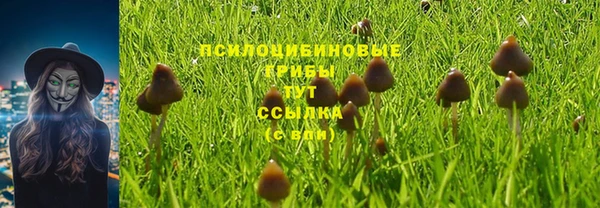 стафф Лихославль