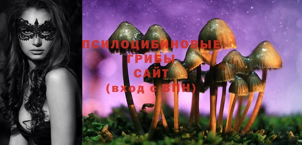 хмурый Липки